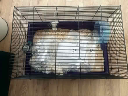Photo of free Hamster Cage (Enfield N21) #2