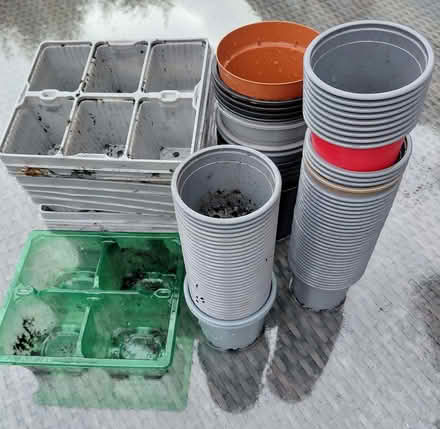 Photo of free Plastic plants pots and seed trays (Sale M33) #1