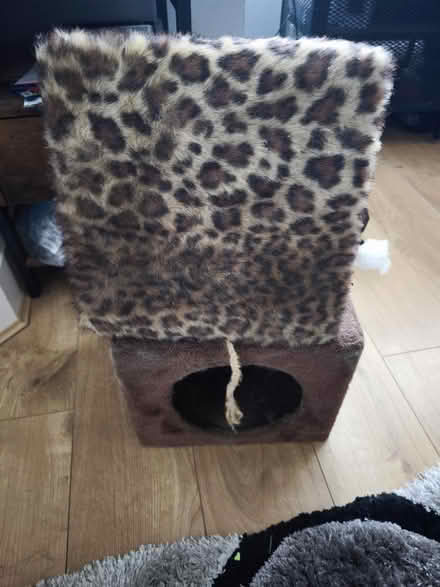 Photo of free Small Cat box (Coulsdon, CR5) #2