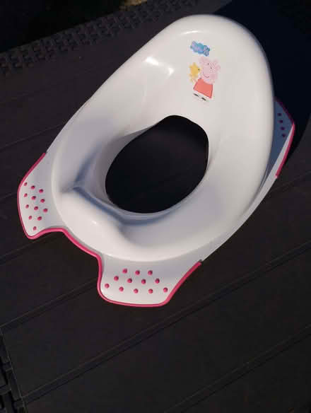 Photo of free Infant toilet seat and potty (Bassetlaw DN22) #1