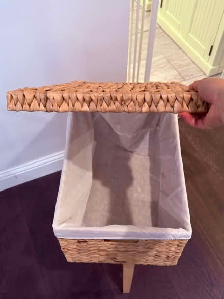 Photo of free Natural Material Basket with Liner (Pollard Rd & More Ave) #2