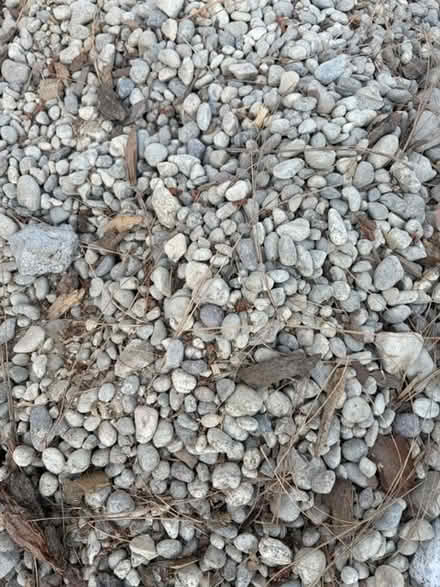 Photo of free Del Rio rocks (North Hollywood) #2