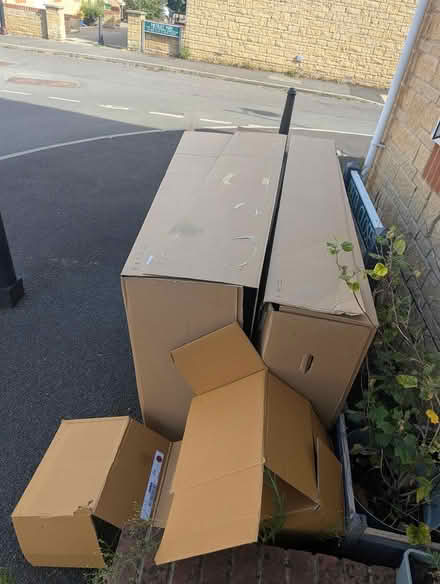 Photo of free Very large pieces of cardboard (Welshmill BA11) #1