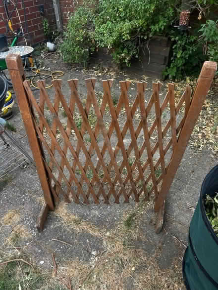 Photo of free Concertina trellis (Arborfield RG2) #1