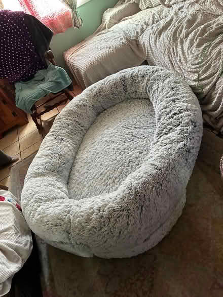 Photo of free Sleep with your dog Bed (Wappingers) #1