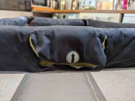 Photo of free Portable cot (South Croydon CR2) #4