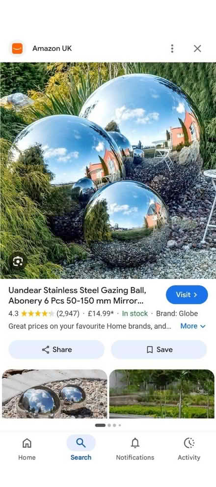 Photo of Stainless steel gazing ball (Dalton WN8) #1
