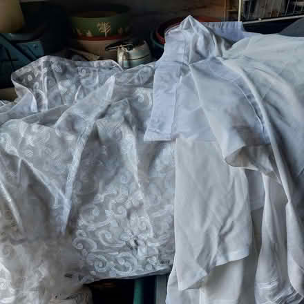 Photo of free 6 old net curtains - for covering fruit bushes? (Fords Farm RG31) #1