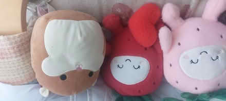Photo of free Soft cuddly toys (Lower Weston BA1) #3