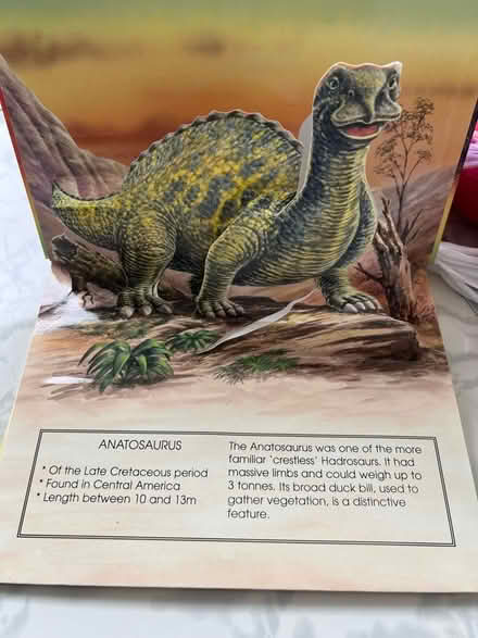 Photo of free Pop up dinosaur book (Westbrook WA5) #2