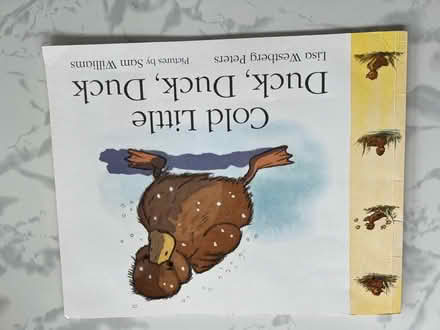 Photo of free Cold little duck duck duck story book (Westbrook WA5) #1