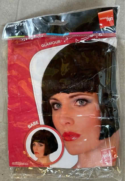 Photo of free Bob style wig (Abbey Wood SE2) #1
