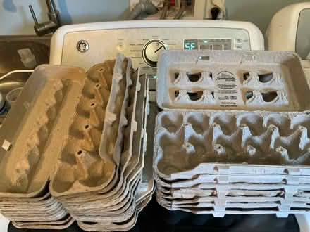 Photo of free Egg cartons (Fremont & 85) #1