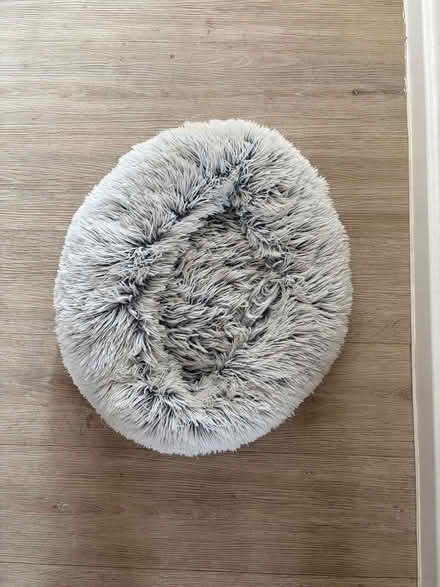 Photo of free Cat bed & Cat litter tray (Earl’s Court SW5) #2