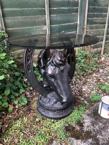 Photo of free Horse head coffee table (Sprowston NR7) #1