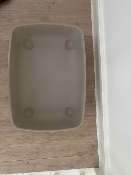 Photo of free Cat bed & Cat litter tray (Earl’s Court SW5) #3