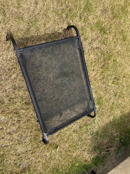 Photo of free Dogs bed (Penzance TR18) #1