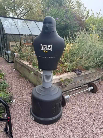 Photo of free Sparring partner (Leigh WR6) #1