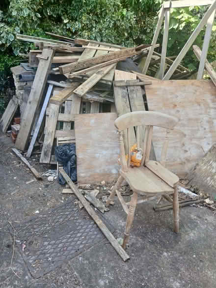 Photo of free Mountain of wood (Tile Hill CV4) #3