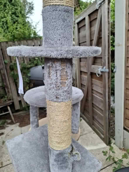 Photo of free Grey Multi-Level Cat Tree (Manchester M12) #2