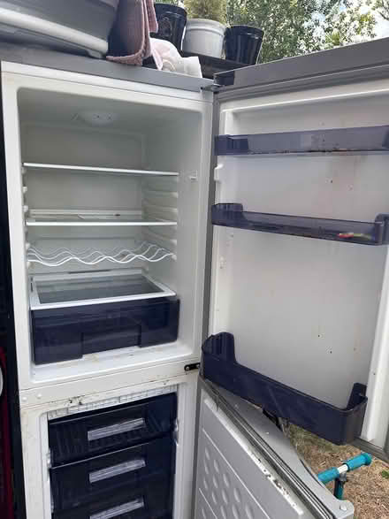 Photo of free Black swan fridge (Brixton SW9) #2