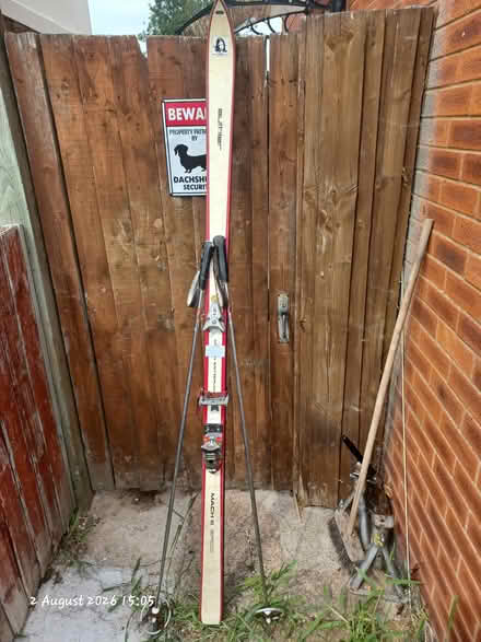 Photo of free Skis (Worcester WR2) #1