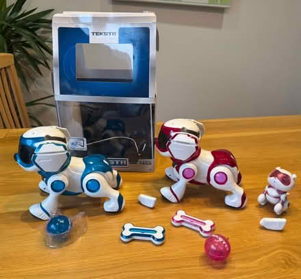 Photo of free Old Teksta puppies (Town Parks BT15) #2