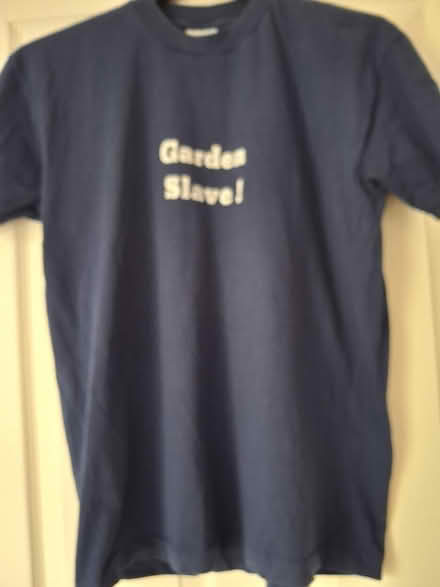 Photo of free Fruit of the Look T-shirt (Styvechale, Coventry CV3) #1