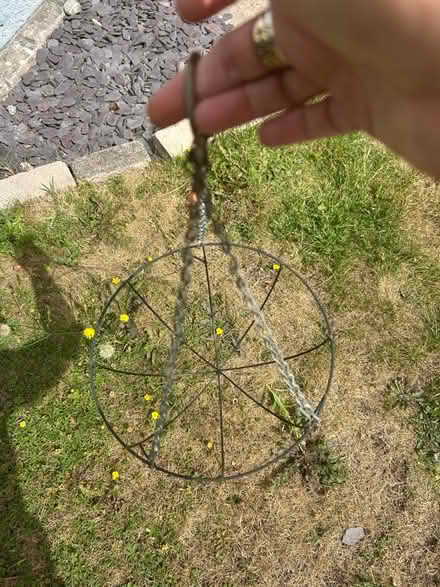 Photo of free Basgedi crog/ hanging baskets (Tregarth LL57) #3