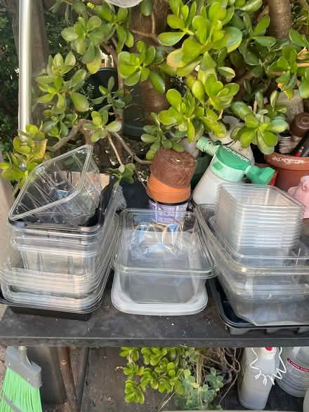 Photo of free Assorted plastic containers (Oakland) #1