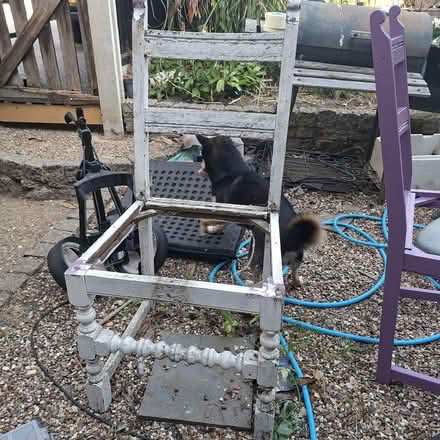 Photo of Old Dining Chair - St Nicholas Stevenage (St Nicholas SG1) #1