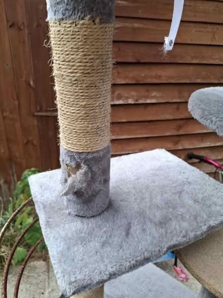 Photo of free Grey Multi-Level Cat Tree (Manchester M12) #3