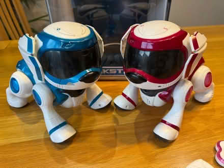 Photo of free Old Teksta puppies (Town Parks BT15) #1