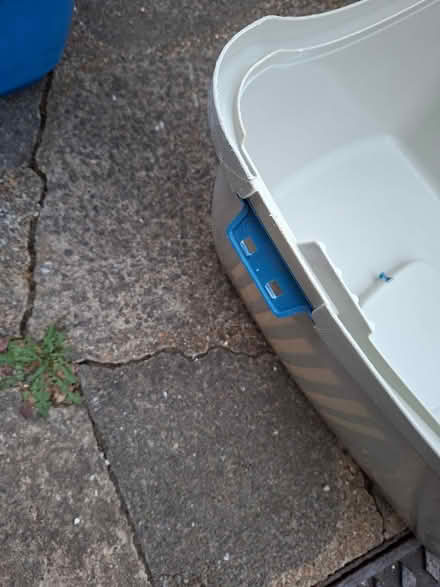Photo of free Cat litter (Twickenham TW2) #4