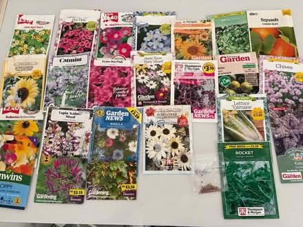 Photo of free mixed flower and vegetable seeds (Bridlington) #1