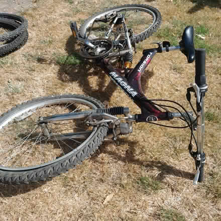 Photo of free Bicycle (Havant PO9) #2