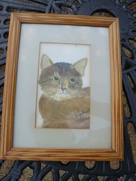 Photo of free Small framed watercolour pic of a cat 23cmx18cm (Kempsey WR5) #1