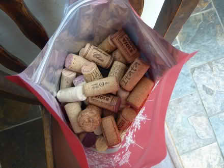 Photo of free Lots of corks (Nailsworth GL6) #1