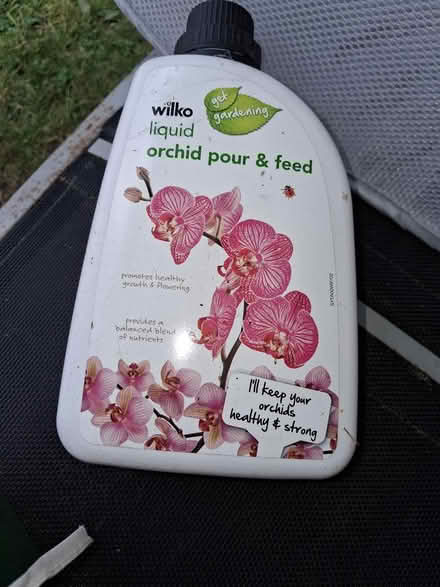 Photo of free Orchid feed (Swinton (M27)) #1