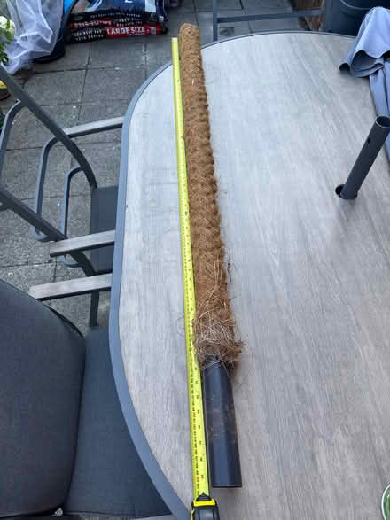 Photo of free 1.5m moss pole for indoor plant (Walstead RH16) #1