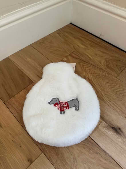 Photo of free Festive Dog Hot Water Bottle (Summertown OX2) #1