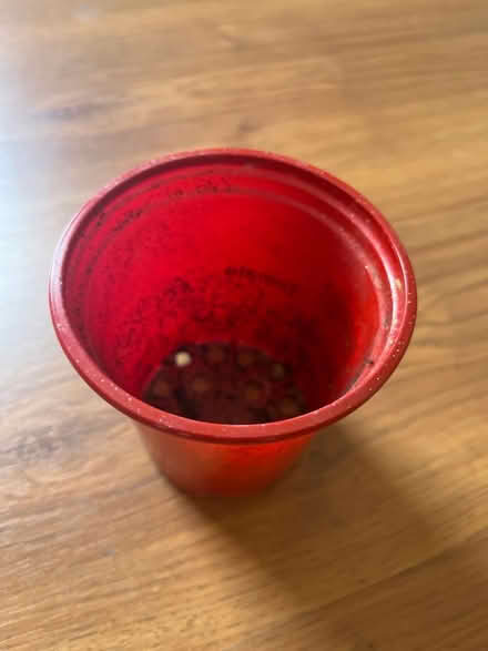 Photo of Large plastic plant pot with drainage holes (Tooting SW19) #1