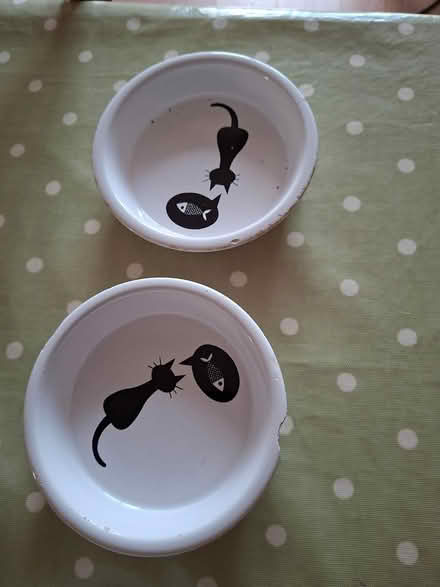 Photo of free Pet food bowls (Cats) (Twickenham TW2) #3