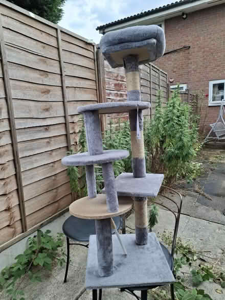 Photo of free Grey Multi-Level Cat Tree (Manchester M12) #2