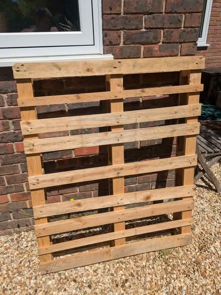 Photo of free Pallet (Sway SO41) #1
