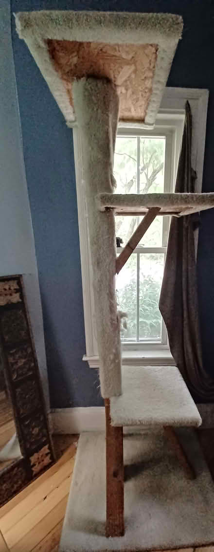 Photo of free Custom cat tree (Cambridge Walden @ Sherman) #2