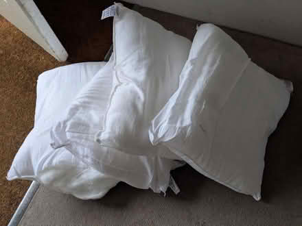Photo of free 4 cushions (Herne Hill SE24) #1