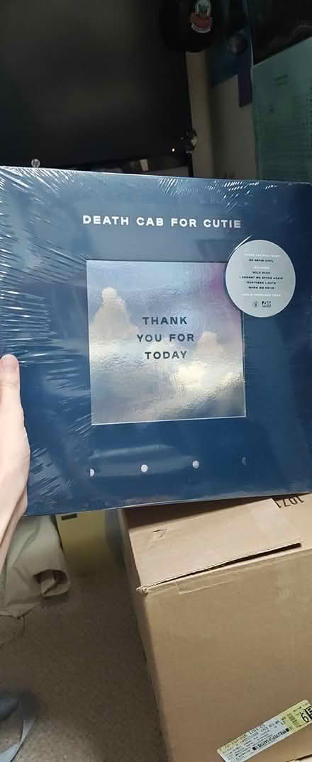 Photo of free Vinyl (Near Bolingbrook High School) #1