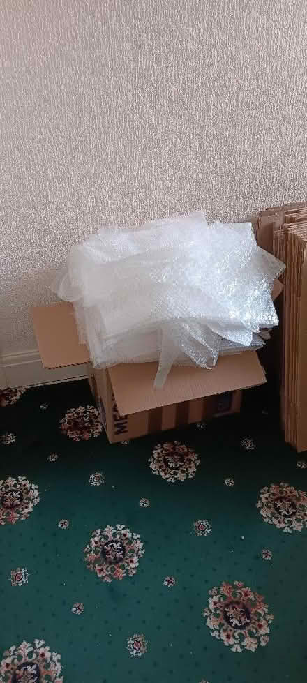 Photo of free Bubble wrap (Sketty SA2) #1