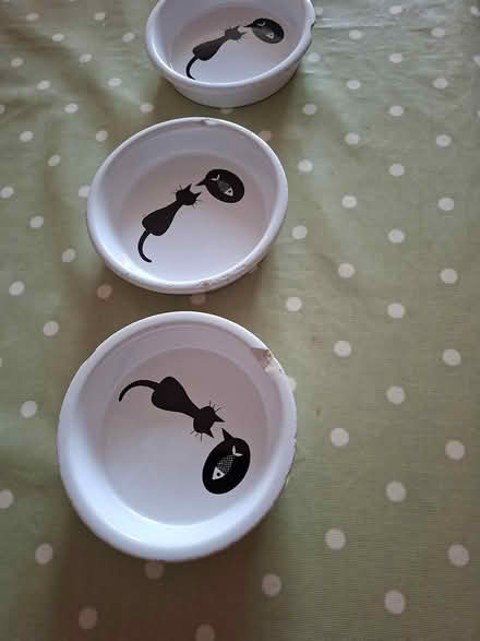 Photo of free Pet food bowls (Cats) (Twickenham TW2) #1